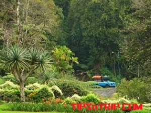 Cagar-Alam-Pulau-Maya-Karimata