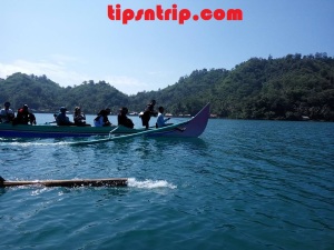 wisata-teluk-kiluan-di-lampung.jpg