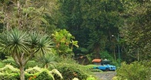 Cagar-Alam-Pulau-Maya-Karimata
